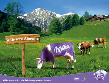 Milka cow